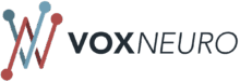 VoxNeuro Logo
